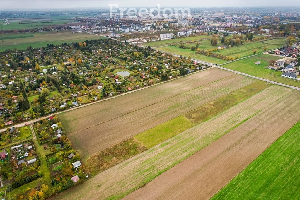 Działka 1 678,00 m², oferta nr , 9011/3685/OGS, Ciechanów, Opinogórska