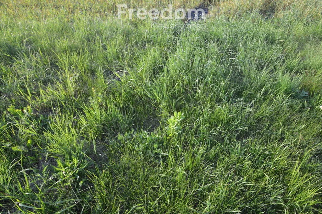 Apartamenty 11237/3685/OGS Jełowa Opolska