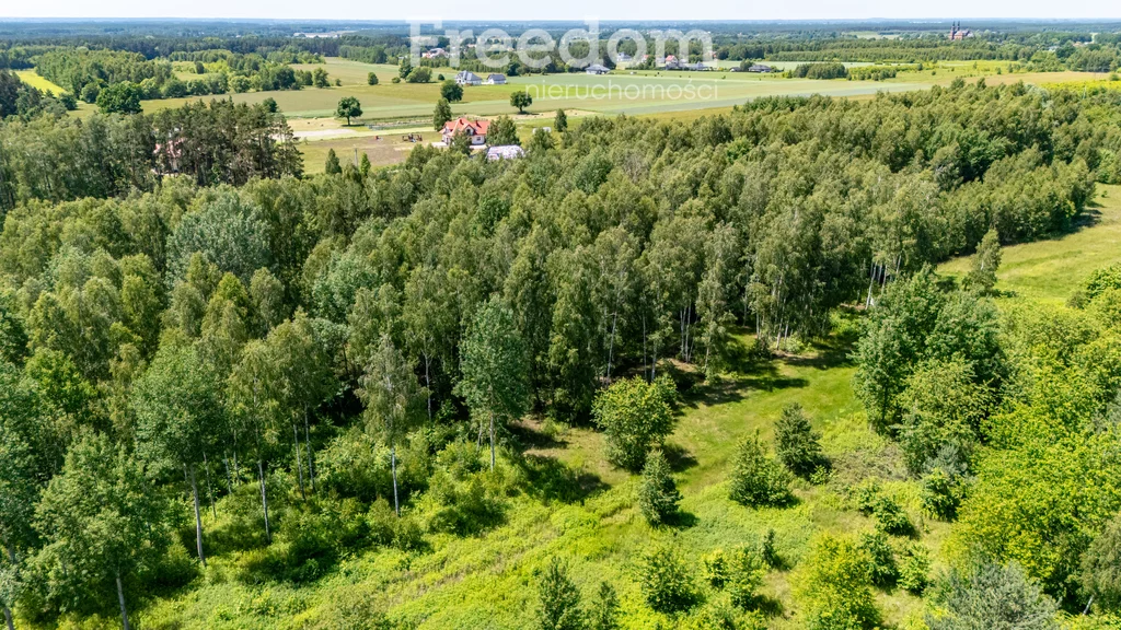 10797/3685/OGS - zdjęcie nr 0