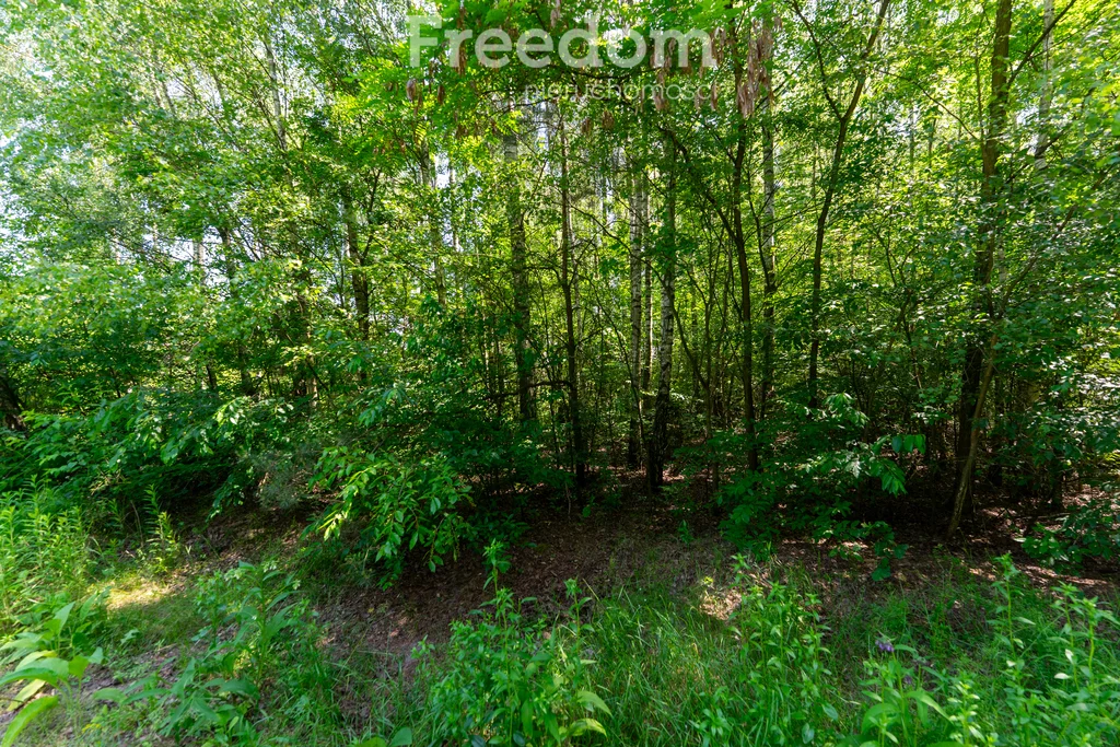 Działka 2 800,00 m², oferta nr , 10797/3685/OGS, Osieck