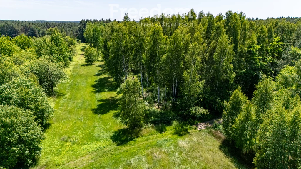 10798/3685/OGS - zdjęcie nr 1