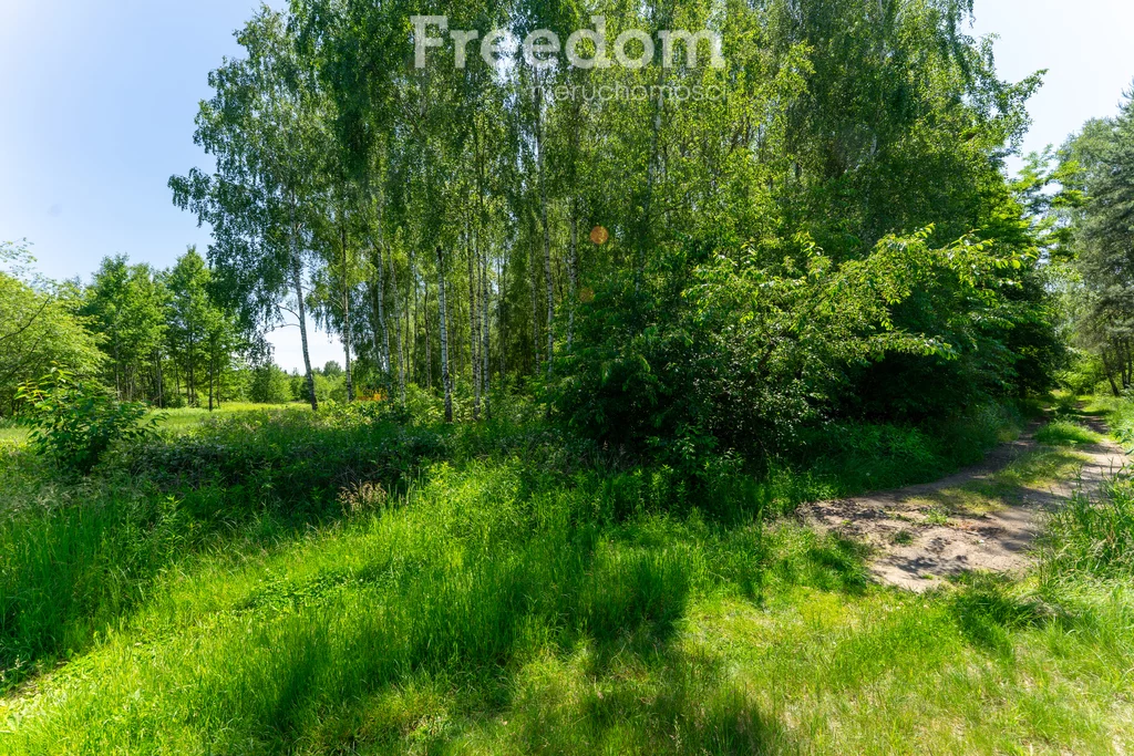 10798/3685/OGS - zdjęcie nr 4