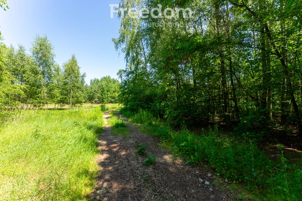 Działka 1 500,00 m², oferta nr , 10798/3685/OGS, Osieck