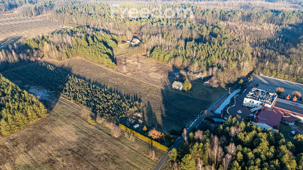 10670/3685/OGS - zdjęcie nr 0