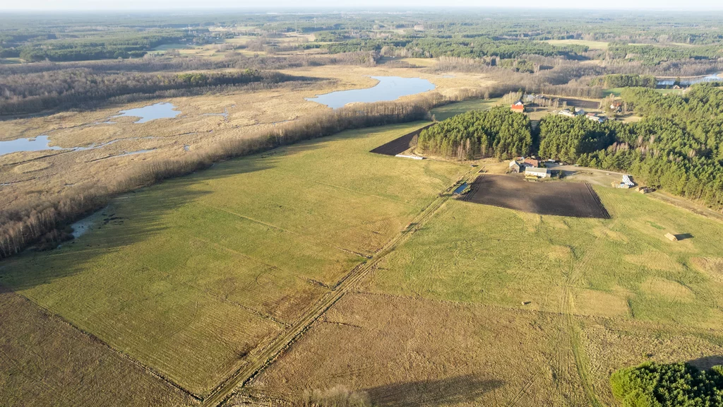 Działka 10 408,00 m², Osiek, Sprzedaż