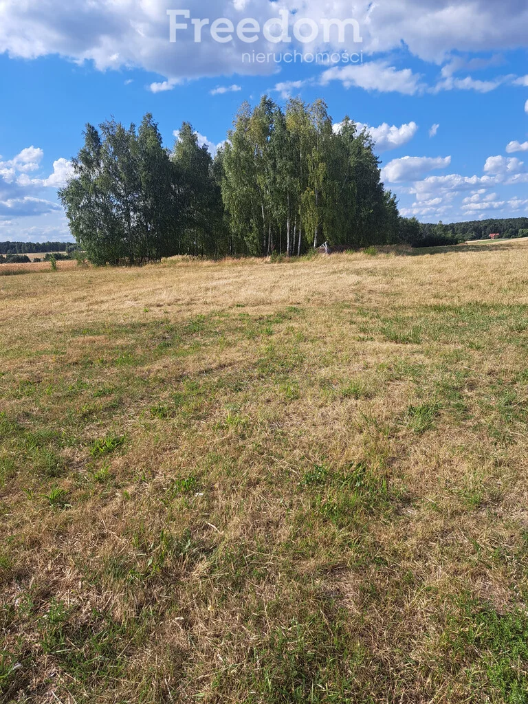 Działka 20 800,00 m², oferta nr , 10268/3685/OGS, Osiny