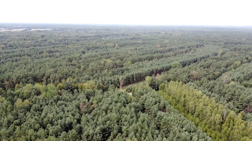 Działka 47 400,00 m², oferta nr , 11195/3685/OGS, Ostrownica