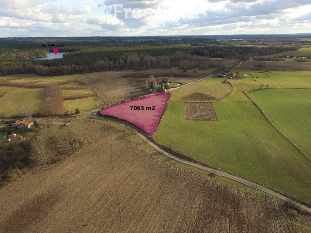10603/3685/OGS - zdjęcie nr 0