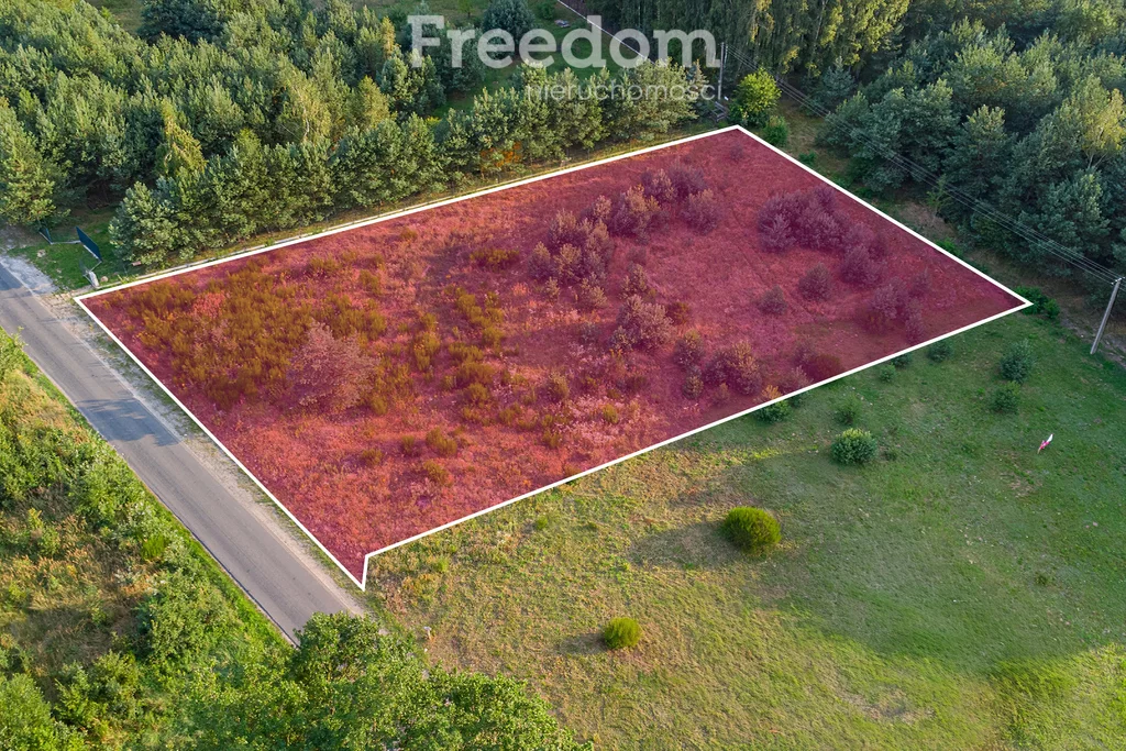 Apartamenty 11101/3685/OGS Grzegorzewice Pałacowa