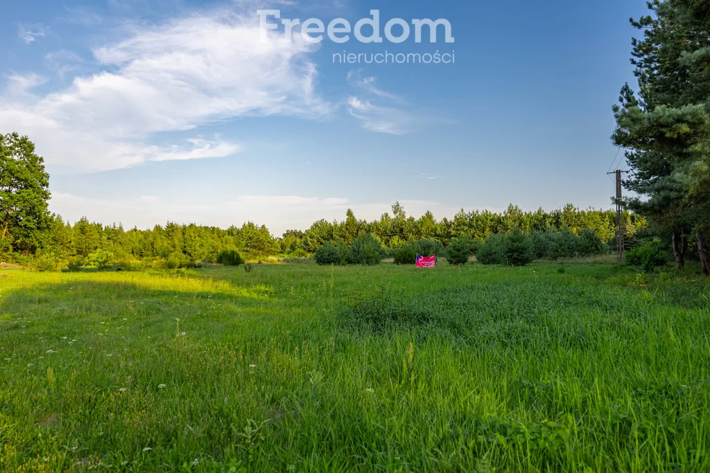 Działka 1 213,00 m², oferta nr , 11079/3685/OGS, Grzegorzewice, Pałacowa