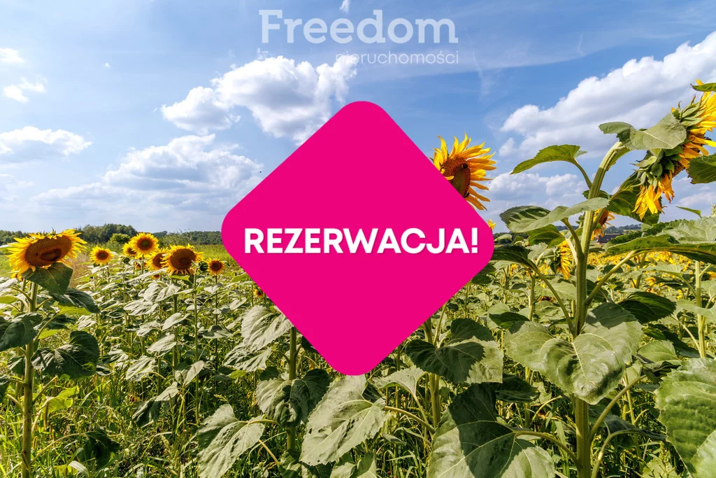 Działka 3 344,00 m², oferta nr , 8226/3685/OGS, Pawęzów