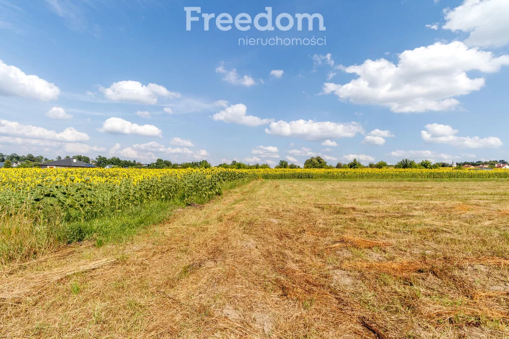 Apartamenty 8928/3685/OGS Pawęzów