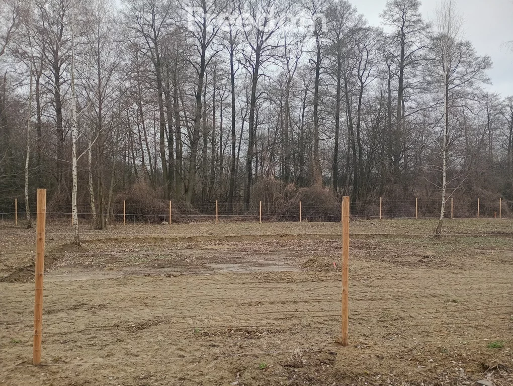 10293/3685/OGS - zdjęcie nr 3