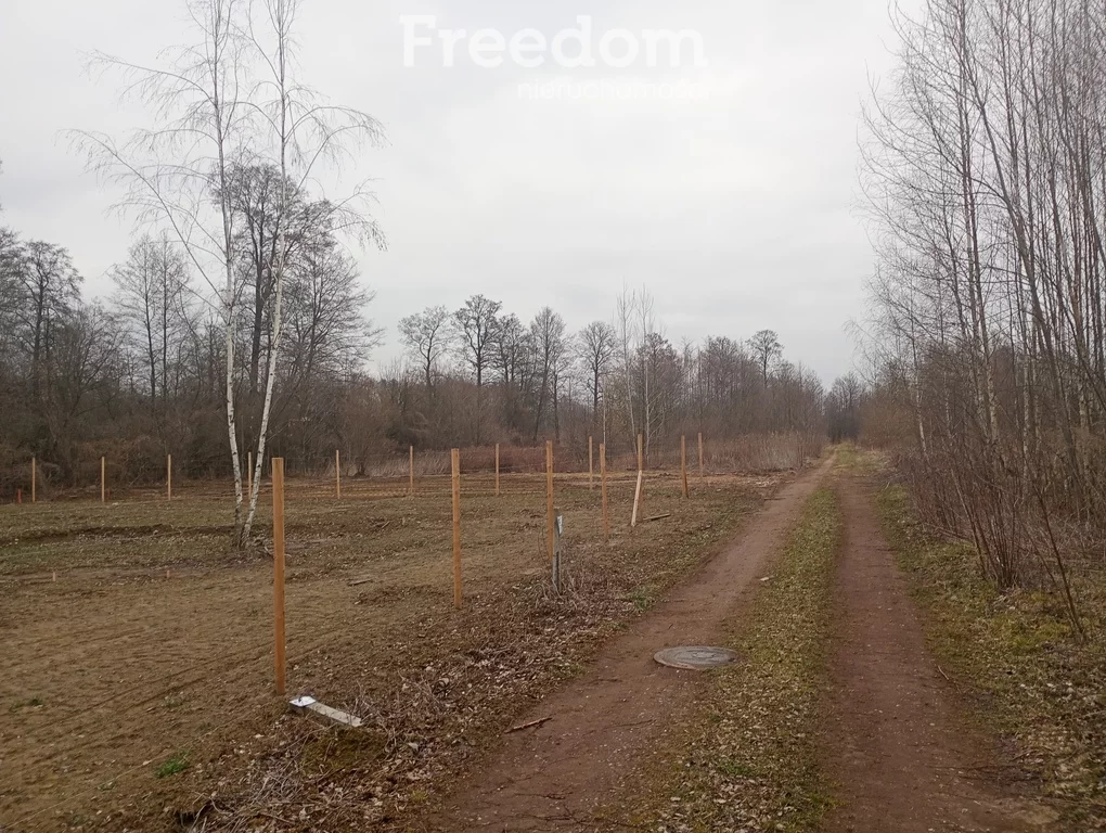 Działka 1 000,00 m², oferta nr , 10293/3685/OGS, Baszkówka, Petunii