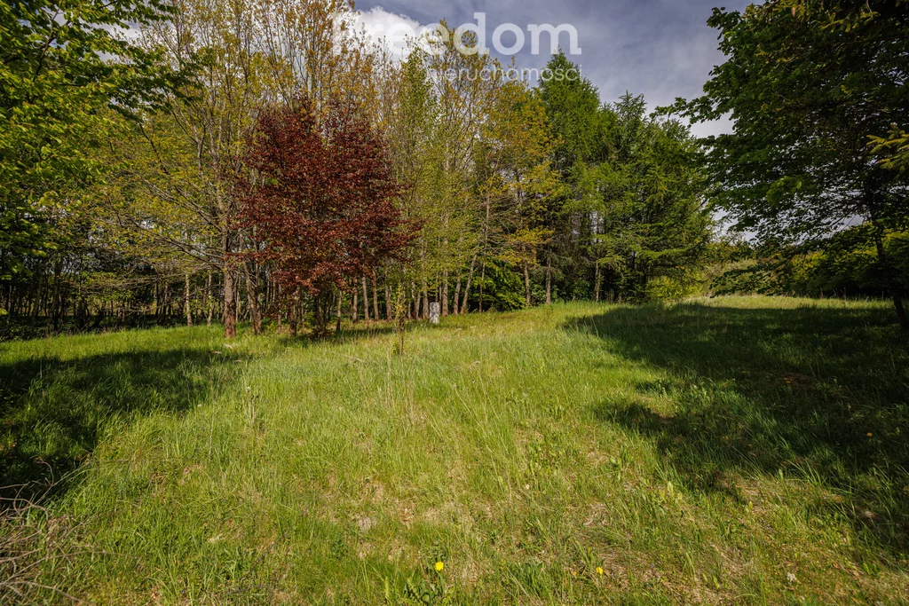 Działka 10 000,00 m², oferta nr , 11092/3685/OGS, Pomlewo, Piaskowa