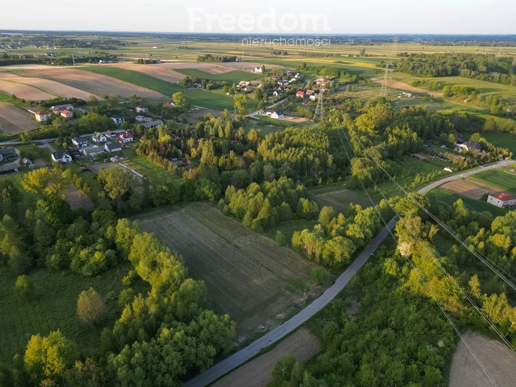 10003/3685/OGS - zdjęcie nr 0