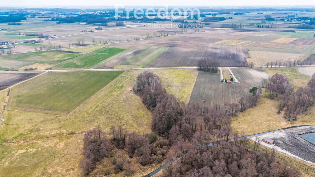 Działka 48 800,00 m², oferta nr , 10051/3685/OGS, Płonka Kościelna