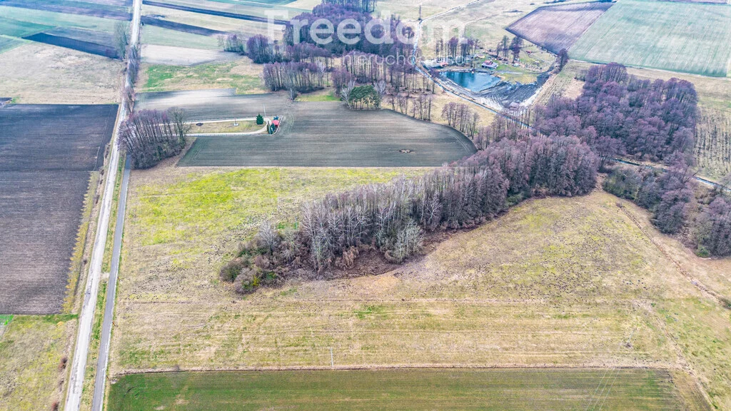 Działka 48 800,00 m², oferta nr , 10051/3685/OGS, Płonka Kościelna