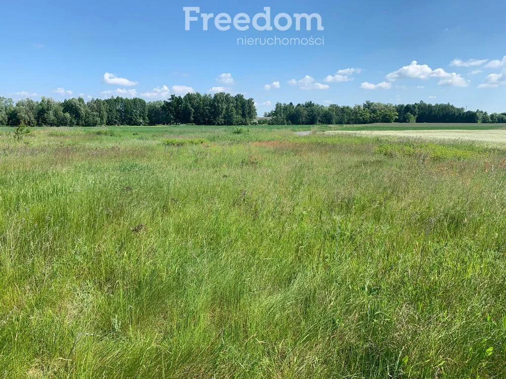 Działka 2 193,00 m², oferta nr , 11254/3685/OGS, Płońsk