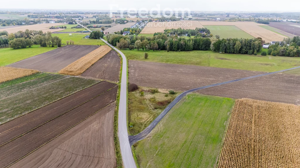 Działka 2 193,00 m², oferta nr , 11254/3685/OGS, Płońsk