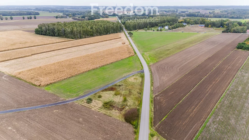 Działka 2 193,00 m², oferta nr , 11254/3685/OGS, Płońsk