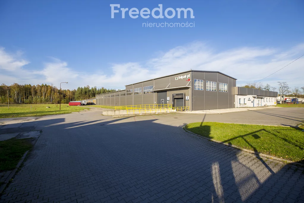Działka 2 500,00 m², oferta nr , 30/3685/OGW, Głogów Małopolski, Pod Borem