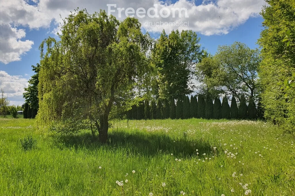 Działka 5 000,00 m², oferta nr , 10133/3685/OGS, Podedwórze