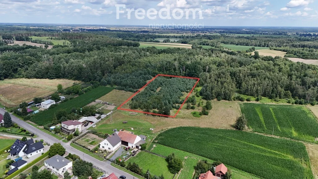 Apartamenty 11024/3685/OGS Niemodlin Podgórna