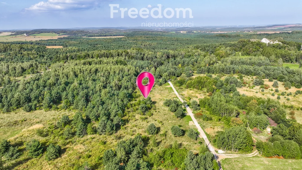 Działka 6 658,00 m², oferta nr , 11334/3685/OGS, Podzamcze