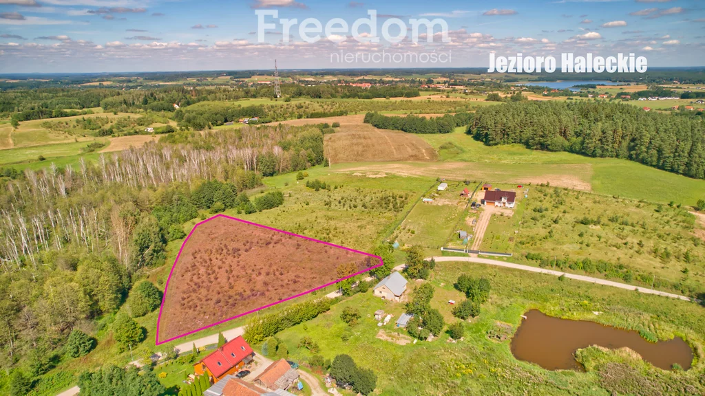 Działka 6 035,00 m², oferta nr , 9924/3685/OGS, Oracze, Pogodna