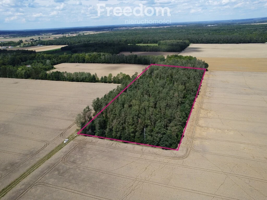 Apartamenty 11020/3685/OGS Pokinianka