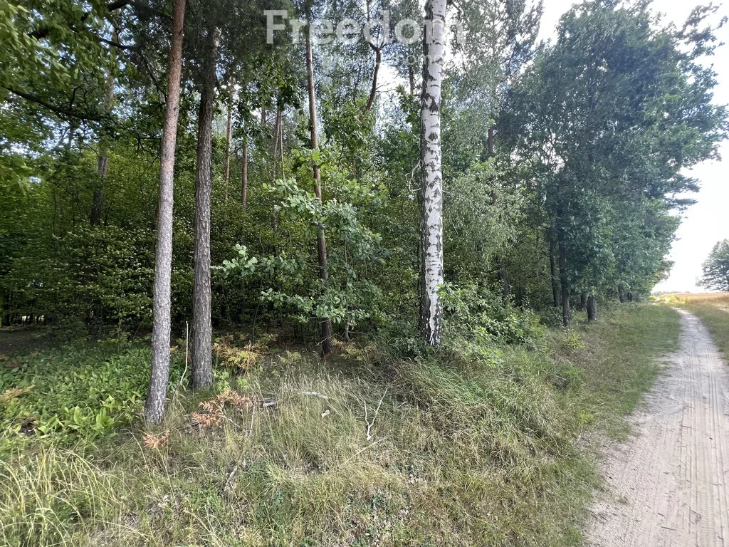 Działka 22 900,00 m², oferta nr , 11020/3685/OGS, Pokinianka