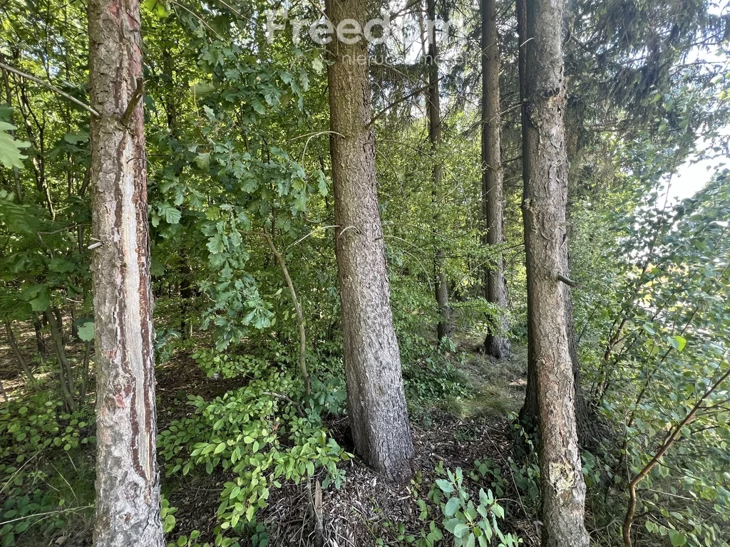 Działka 22 900,00 m², oferta nr , 11020/3685/OGS, Pokinianka