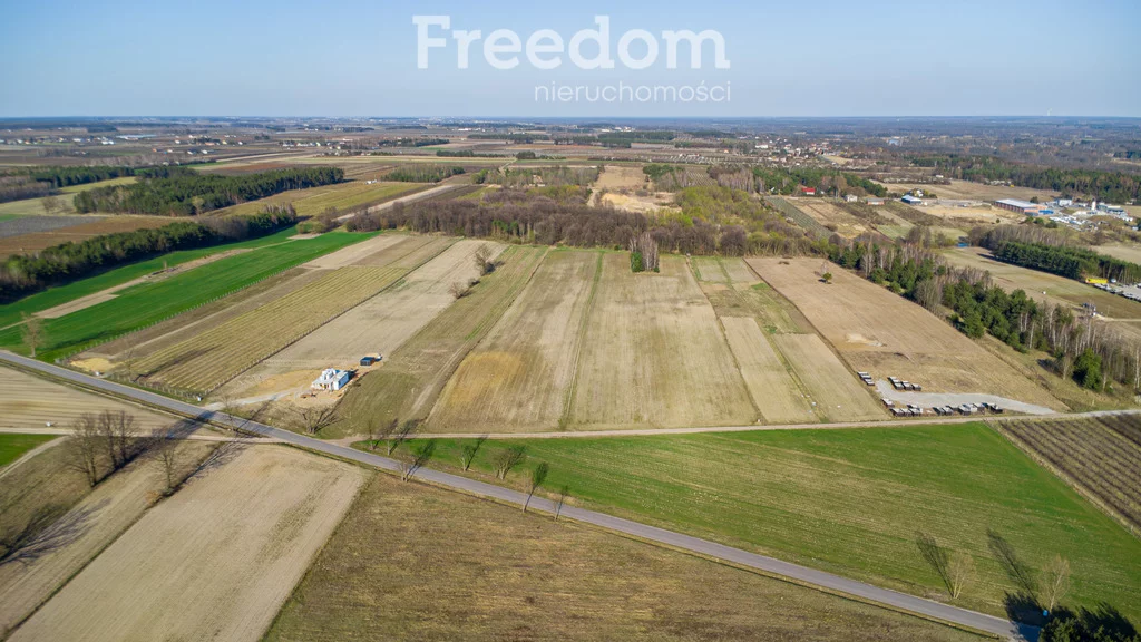 Działka 50 600,00 m², oferta nr , 10309/3685/OGS, Promna, Polna