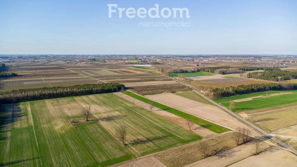 Działka 50 600,00 m², oferta nr , 10309/3685/OGS, Promna, Polna