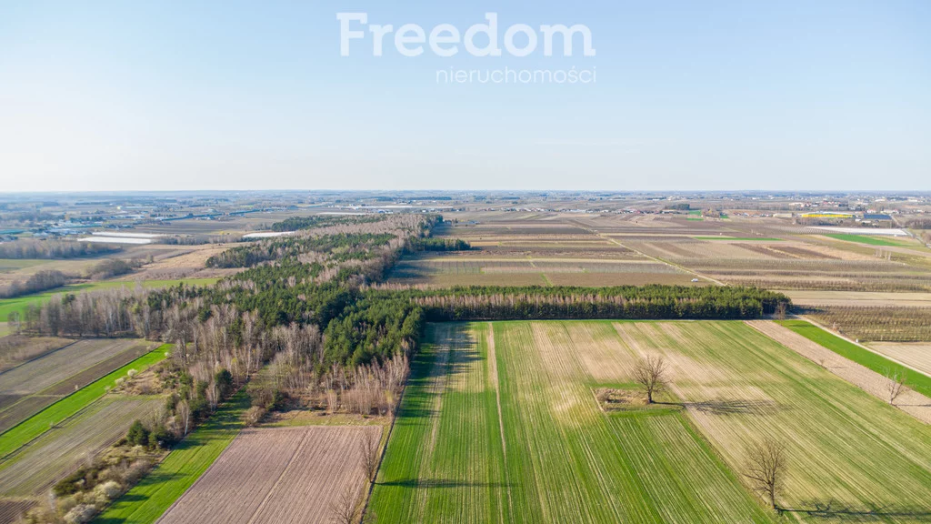 Działka 50 600,00 m², oferta nr , 10309/3685/OGS, Promna, Polna