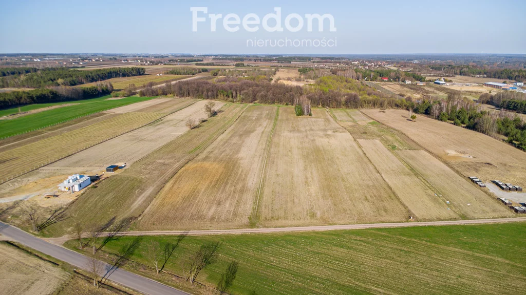 Działka 50 600,00 m², oferta nr , 10309/3685/OGS, Promna, Polna