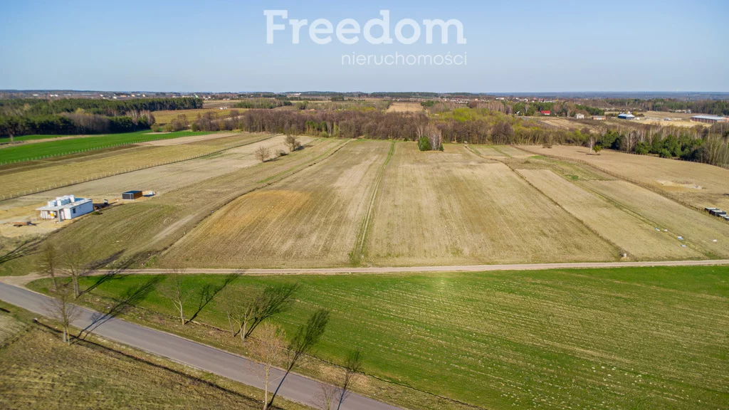Działka 50 600,00 m², oferta nr , 10309/3685/OGS, Promna, Polna