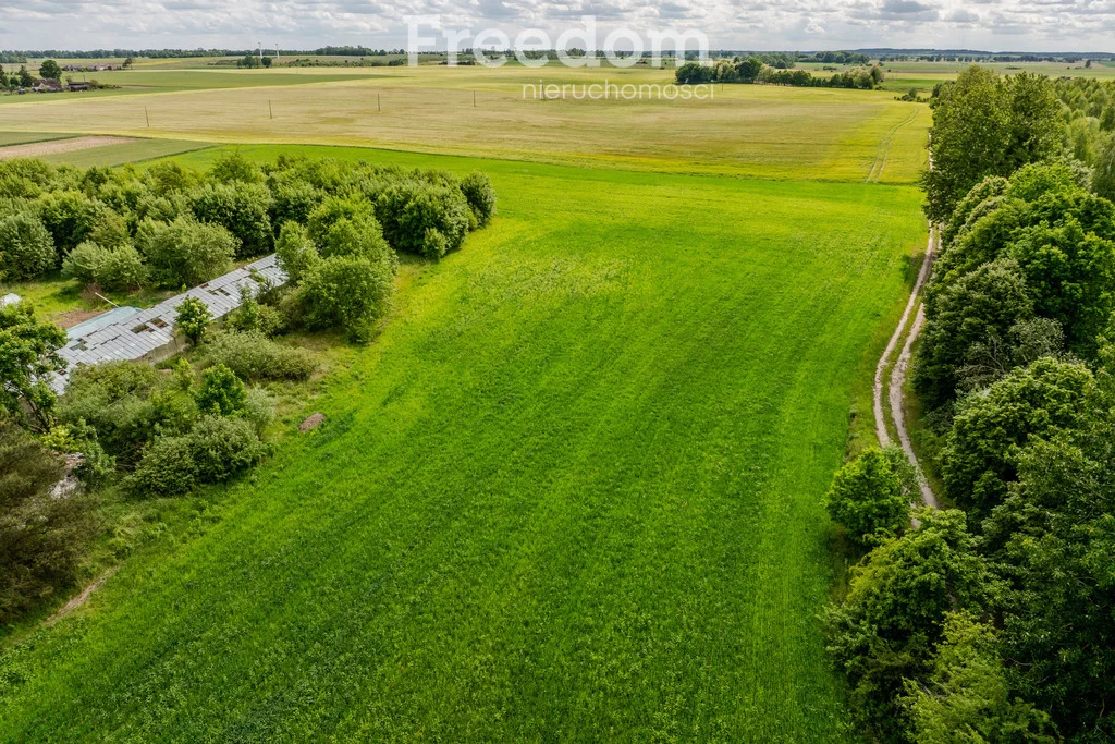 10601/3685/OGS - zdjęcie nr 4