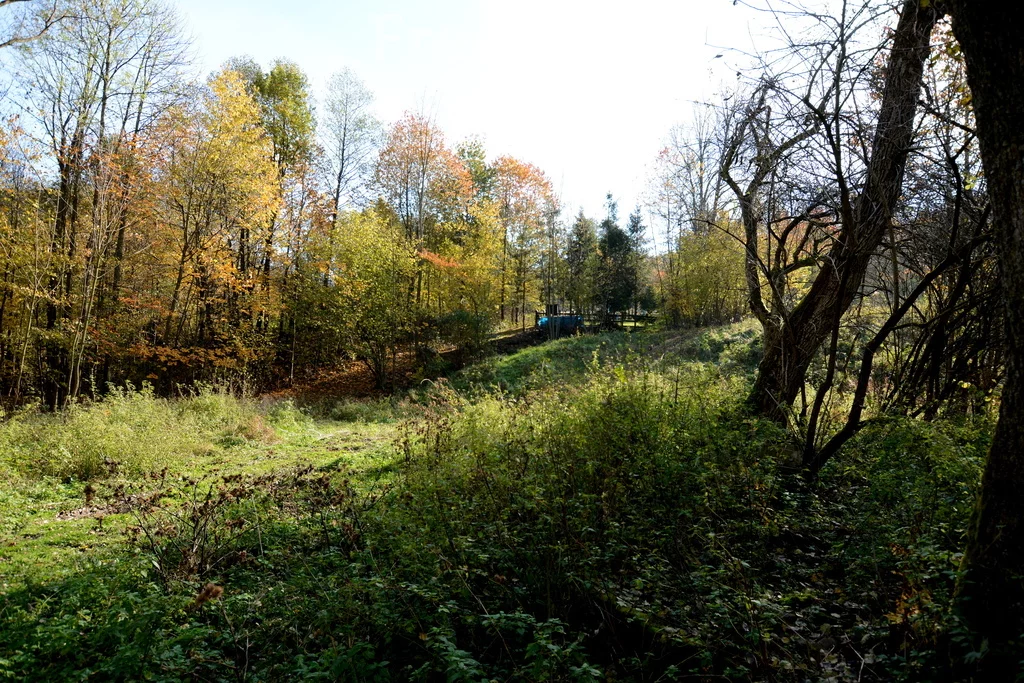 Działka 2 846,00 m², oferta nr , 9045/3685/OGS, Ponikiew