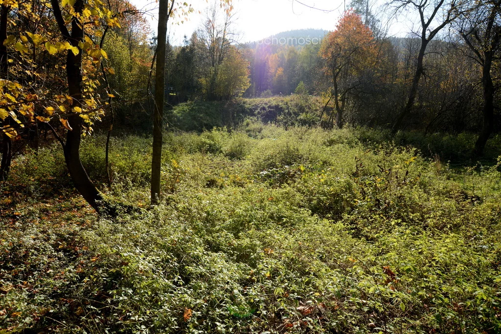 Działka 2 846,00 m², oferta nr , 9045/3685/OGS, Ponikiew