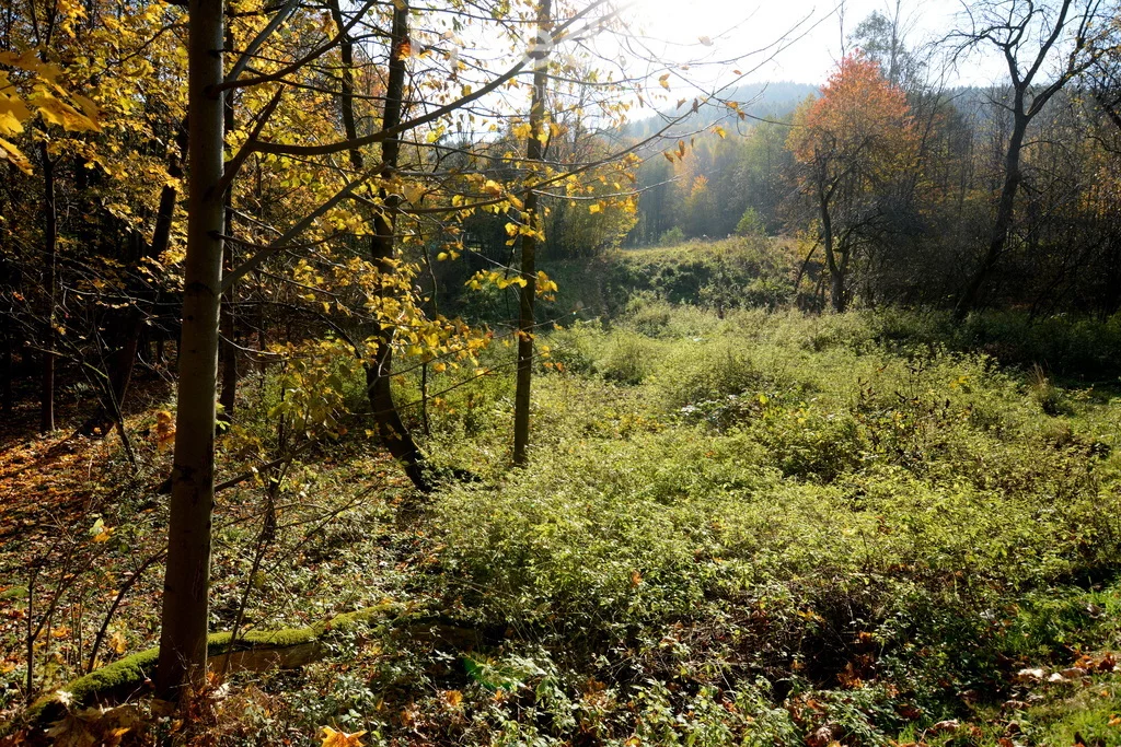 Działka 2 846,00 m², oferta nr , 9045/3685/OGS, Ponikiew