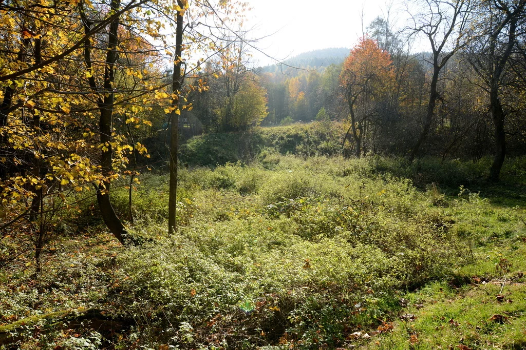 Działka 2 846,00 m², oferta nr , 9045/3685/OGS, Ponikiew