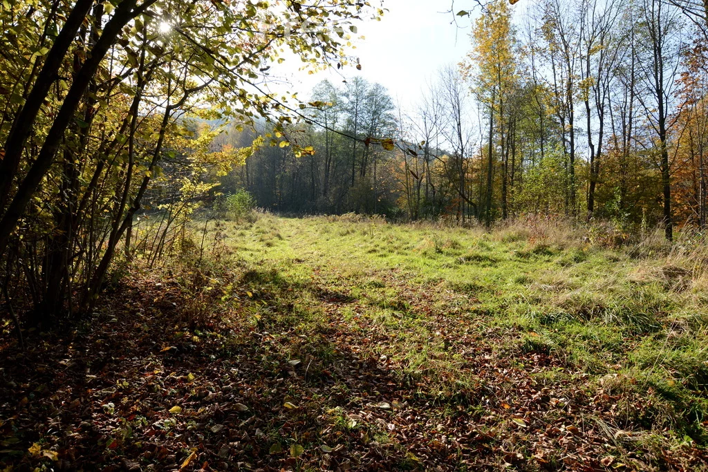 Działka 2 846,00 m², oferta nr , 9045/3685/OGS, Ponikiew