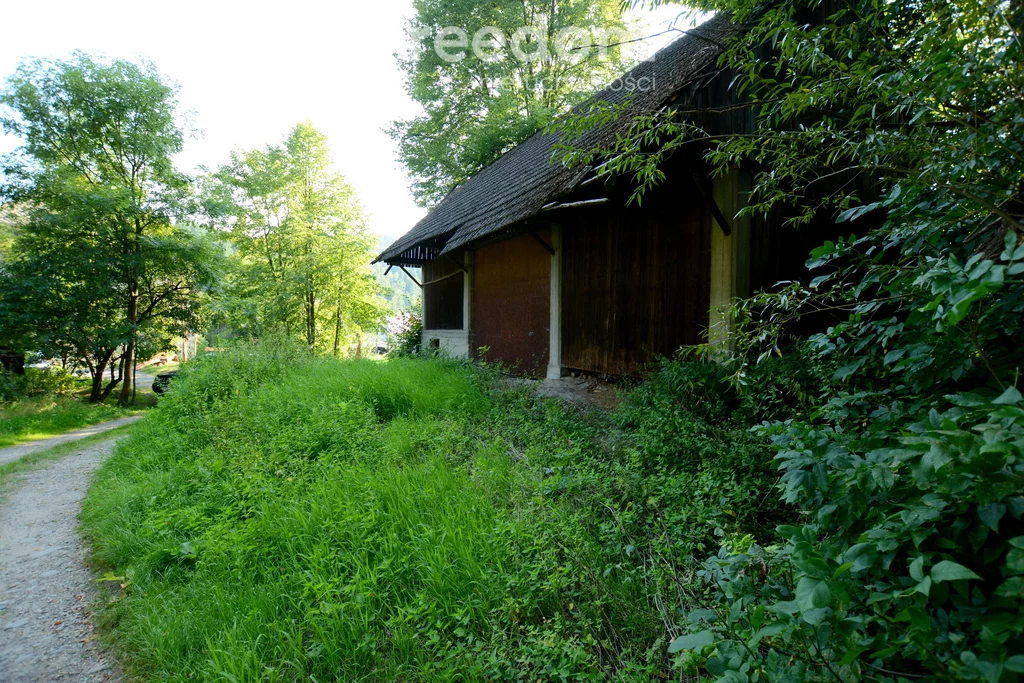 11100/3685/OGS - zdjęcie nr 0
