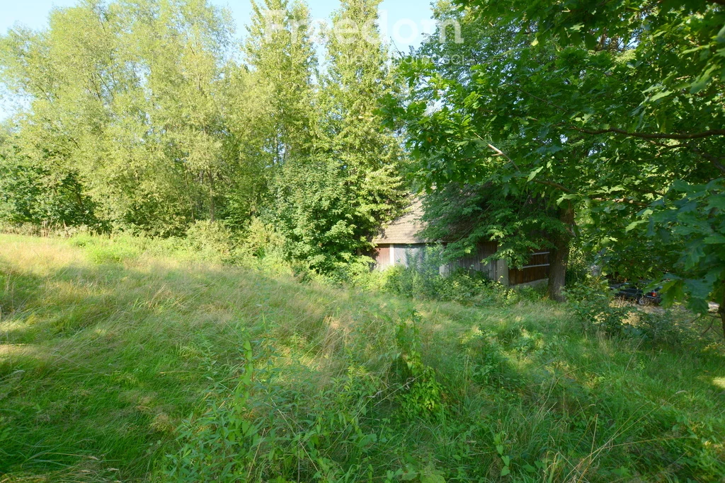 11100/3685/OGS - zdjęcie nr 4