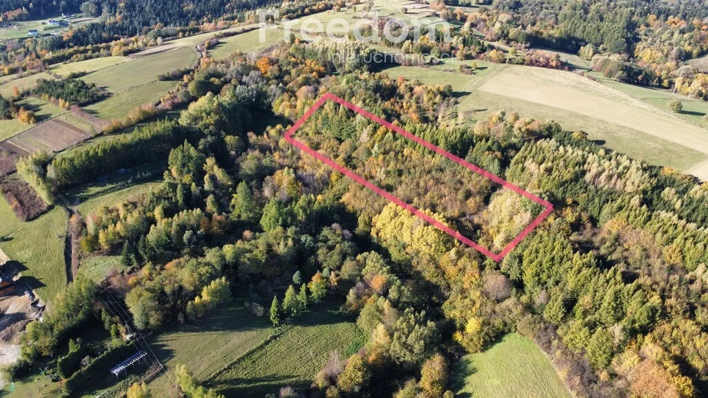 Działka 3 600,00 m², Posada Górna, Sprzedaż