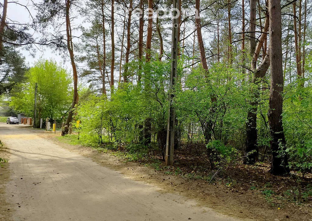 Apartamenty 11047/3685/OGS Poznań
