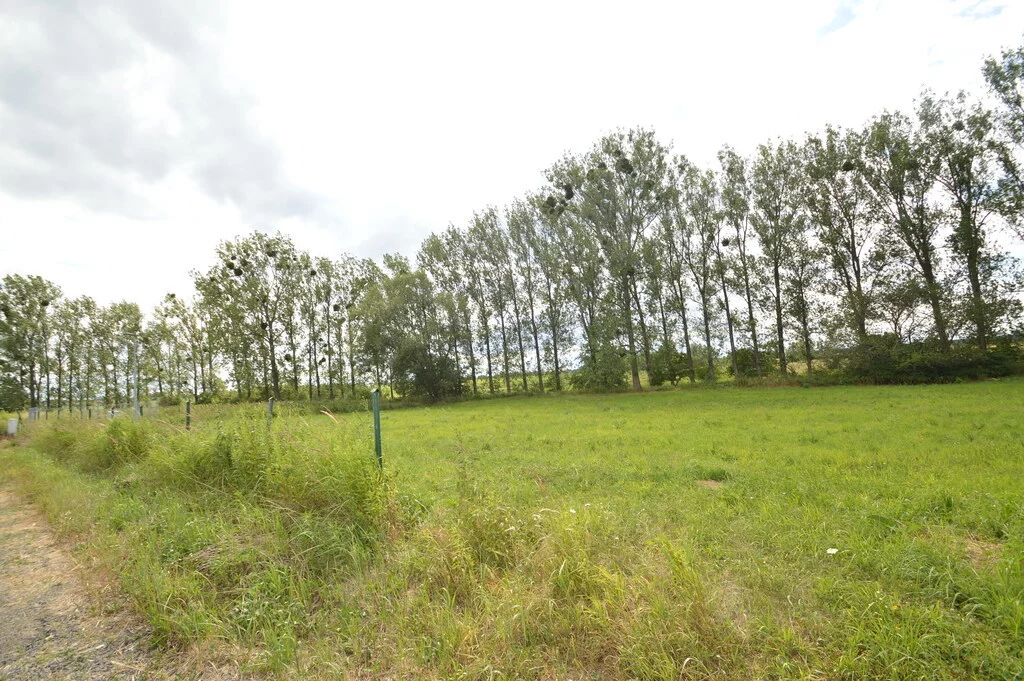 Działka 1 615,00 m², oferta nr , 10195/3685/OGS, Prószków