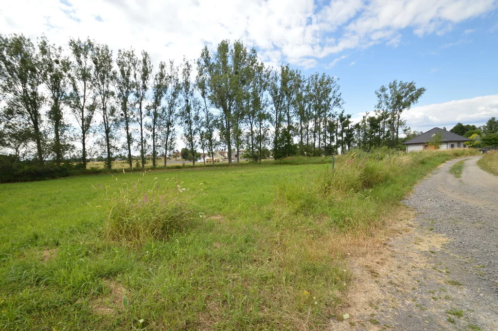 Działka 1 615,00 m², oferta nr , 10195/3685/OGS, Prószków